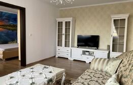 Apartament 2 camere, 50 mp, Podul Ros