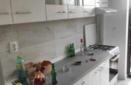Apartament 1 camera, 32 mp, Horpaz