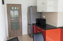 Apartament 2 camere, 50 mp, Tudor Vladimirescu