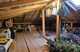 De vazare casa  moderna cu un miniapartament suplimentar la demisol in Hlincea