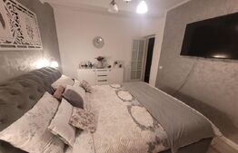 De vazare casa  moderna cu un miniapartament suplimentar la demisol in Hlincea