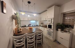 De vazare casa  moderna cu un miniapartament suplimentar la demisol in Hlincea