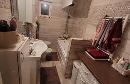 De vazare casa  moderna cu un miniapartament suplimentar la demisol in Hlincea