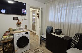 De vazare casa  moderna cu un miniapartament suplimentar la demisol in Hlincea