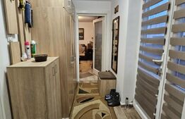 De vazare casa  moderna cu un miniapartament suplimentar la demisol in Hlincea