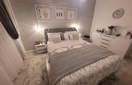 De vazare casa  moderna cu un miniapartament suplimentar la demisol in Hlincea