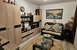 De vazare casa  moderna cu un miniapartament suplimentar la demisol in Hlincea