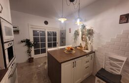 De vazare casa  moderna cu un miniapartament suplimentar la demisol in Hlincea