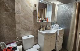 De vazare casa  moderna cu un miniapartament suplimentar la demisol in Hlincea