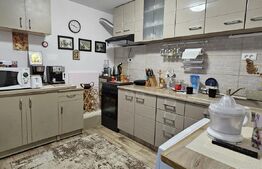 De vazare casa  moderna cu un miniapartament suplimentar la demisol in Hlincea