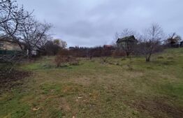 Teren intravilan 2618 mp IASI- Strugurilor