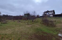 Teren intravilan 2618 mp IASI- Strugurilor