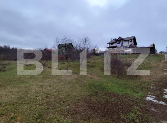 Teren de vânzare Strugurilor - 162842TV | BLITZ Iași | Poza3