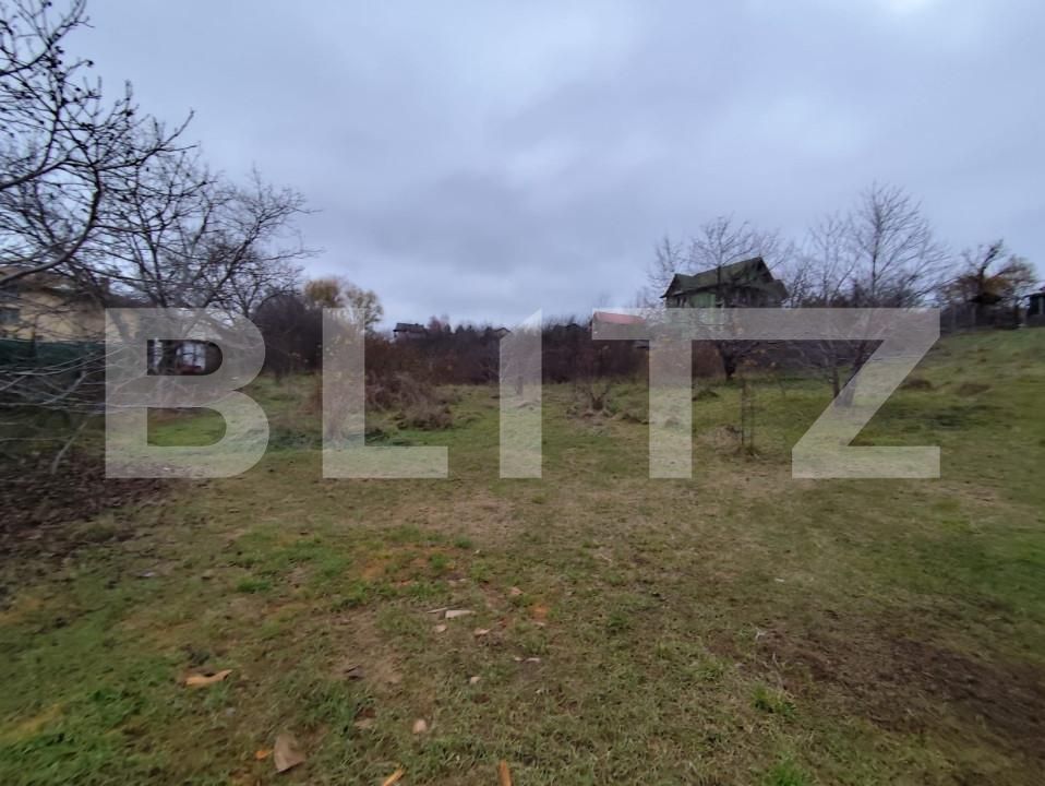 Teren de vânzare Strugurilor - 162842TV | BLITZ Iași | Poza1