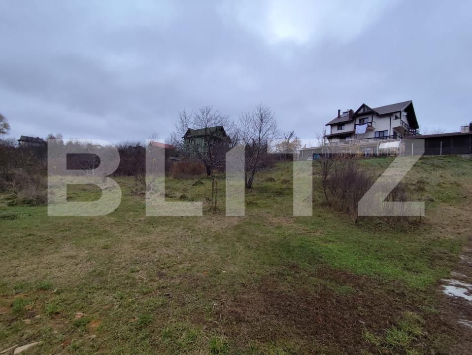 Teren de vânzare Strugurilor - 162842TV | BLITZ Iași | Poza2