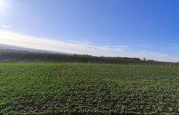 Teren 1.5 ha, 32 m deschidere, zona Vorovesti- Ferma Liliac