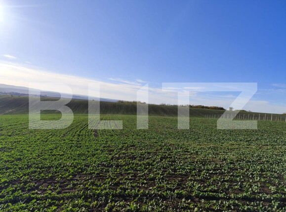 Teren de vânzare Miroslava - 162843TV | BLITZ Iași | Poza1