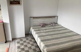 Apartament 1 cameră, 30 mp, zona 2 Băieți