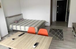 Apartament 1 cameră, 30 mp, zona 2 Băieți