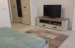 Apartament 1 cameră, 30 mp, zona 2 Băieți