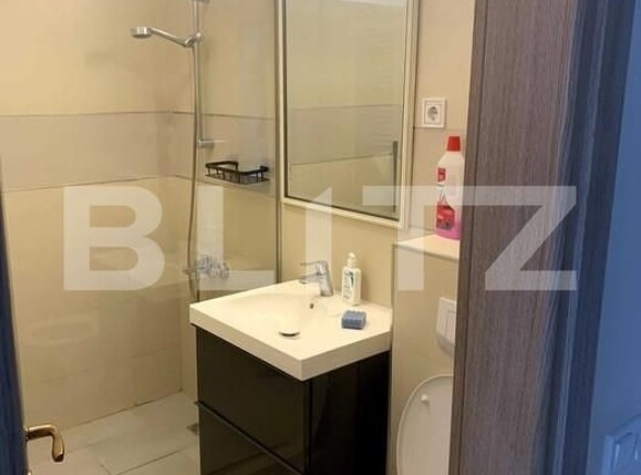 Garsonieră de închiriat Tatarasi - 162851AI | BLITZ Iași | Poza5