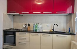 Apartament cu 2 camere, 50 mp, zona Podu Roș