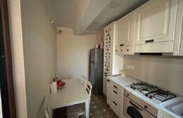  Apartament de lux cu 3 camere, 120 mp, curte privată de 70 mp, zona Palas Mall