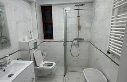  Apartament de lux cu 3 camere, 120 mp, curte privată de 70 mp, zona Palas Mall