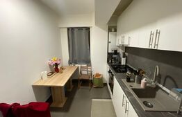 Apartament 2 camere decomandat, 56 mp, loc de parcare inclus, Soseaua Voinesti 