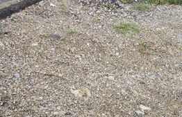 Teren intravilan 1411 mp, Ciurbesti