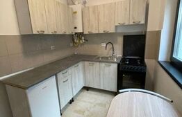 Apartament 1 camera, 34 mp, Hlincea