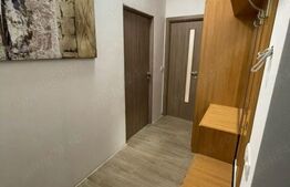 Apartament 1 camera, 34 mp, Hlincea