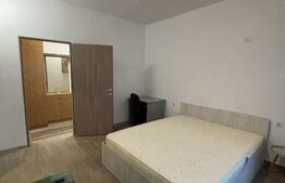 Apartament 1 camera, 34 mp, Hlincea