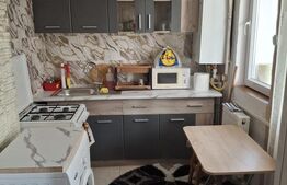 Apartament de 1 camera, zona Tatarasi