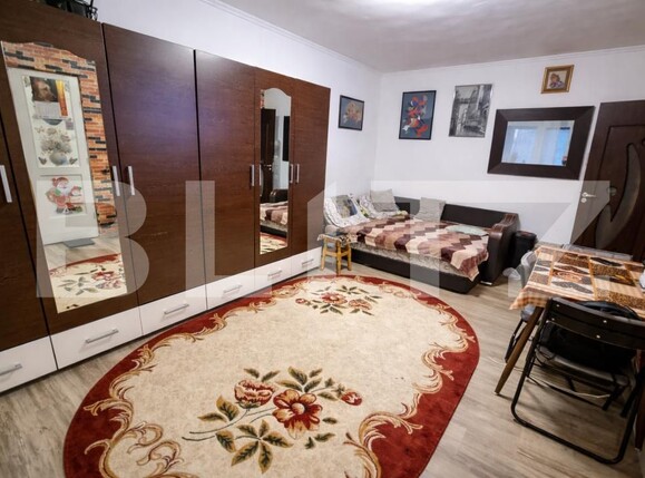 Garsonieră de vânzare Tatarasi - 163310AV | BLITZ Iași | Poza1