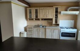 Apartament cu etaj, 4 camere, zona Canta 