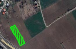 Oportunitate: Teren 1800 mp Intravilan în Dancaș, Iași