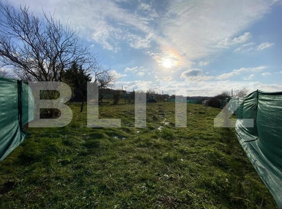Teren de vânzare Visan - 163718TV | BLITZ Iași | Poza1