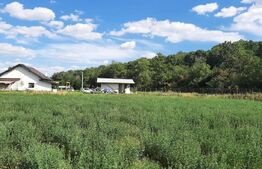 Teren Intravilan 1080 mp, la padure, toate utilitatile zona-Victoria Iasi