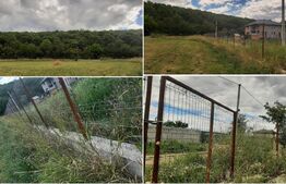 Teren Intravilan 1080 mp, la padure, toate utilitatile zona-Victoria Iasi