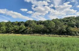 Teren Intravilan 1080 mp, la padure, toate utilitatile zona-Victoria Iasi