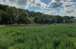 Teren Intravilan 1080 mp, la padure, toate utilitatile zona-Victoria Iasi