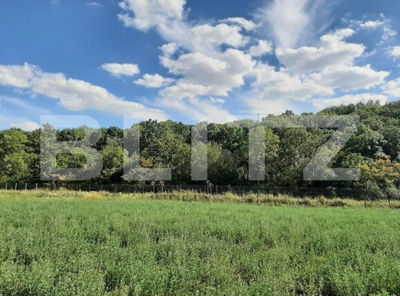 Teren de vânzare Nord - 163728TV | BLITZ Iași | Poza6