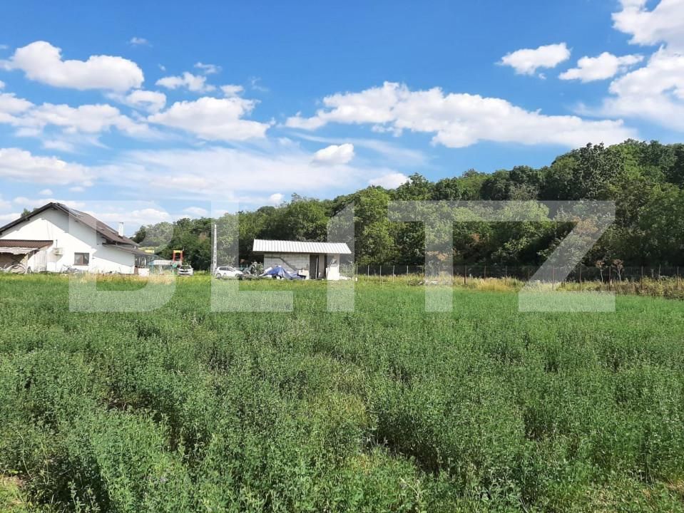 Teren de vânzare Nord - 163728TV | BLITZ Iași | Poza5