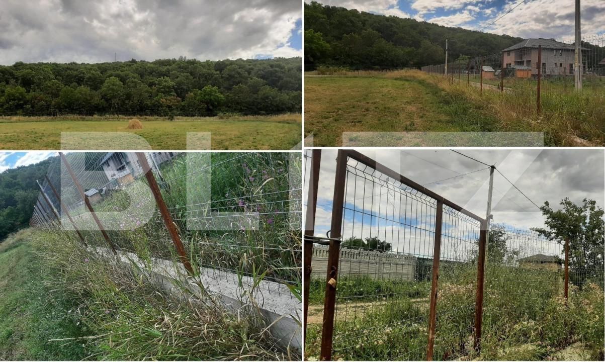 Teren de vânzare Nord - 163728TV | BLITZ Iași | Poza3