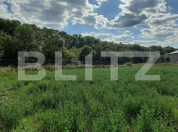 Teren de vânzare Nord - 163729TV | BLITZ Iași | Poza2