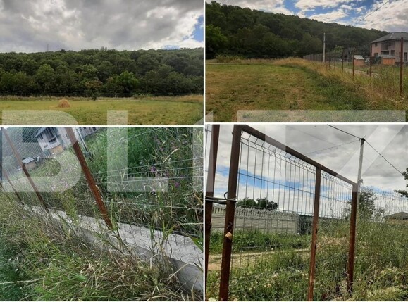 Teren de vânzare Nord - 163729TV | BLITZ Iași | Poza3