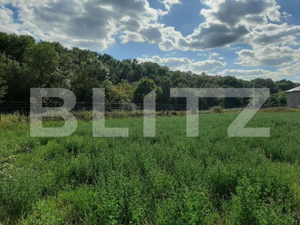 Teren de vânzare Nord - 163729TV | BLITZ Iași | Poza2