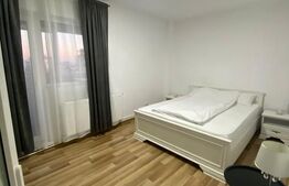 Apartament 2 camere, 40 mp, decomandat, zona Pacurari