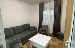 Apartament 2 camere, 40 mp, decomandat, zona Pacurari